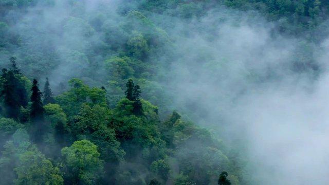 林诗栋遭遇惨败：0-4不敌小勒布伦的背后故事